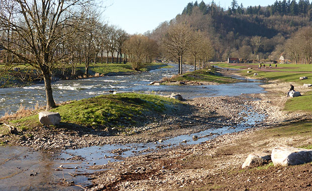 Renaturiertes Ufer der Dreisam im Januar 2015
